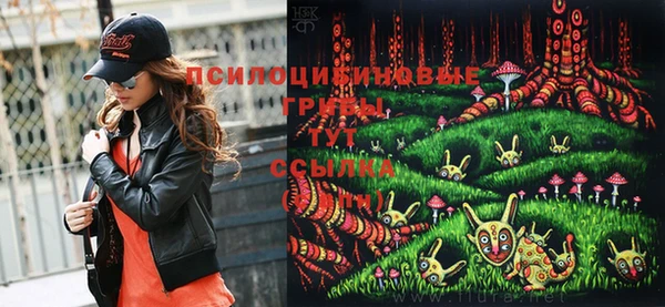 герыч Пересвет