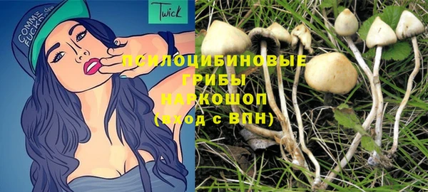 мяу мяу мука Переславль-Залесский