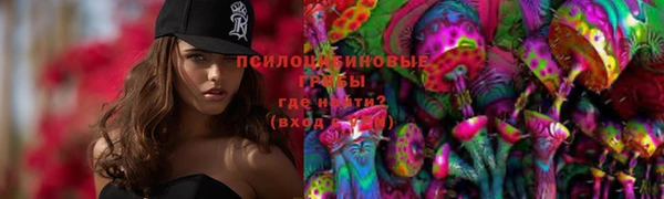 мяу мяу мука Переславль-Залесский