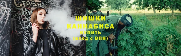 герыч Пересвет