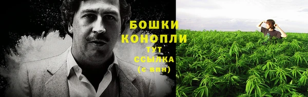 мяу мяу мука Переславль-Залесский
