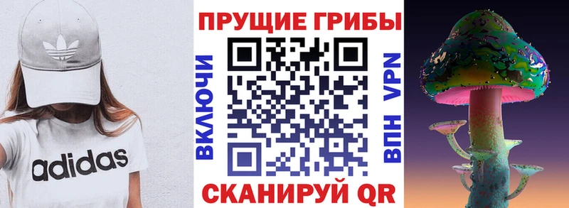 Псилоцибиновые грибы Psilocybine cubensis Струнино
